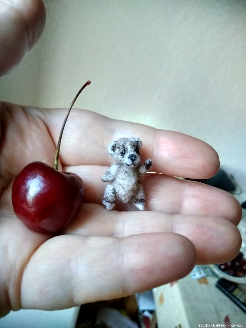 Миниатюрные животные пришли в мою жизнь