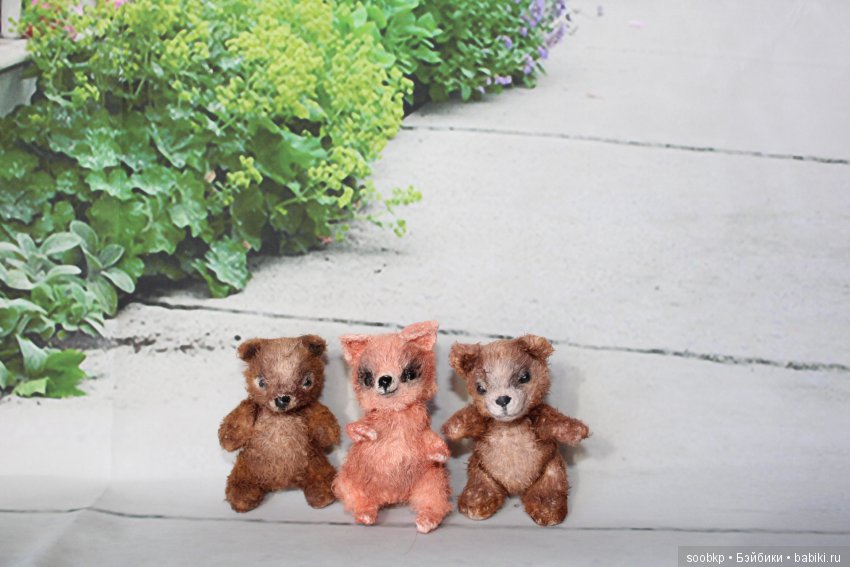 Миниатюрные животные пришли в мою жизнь
