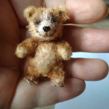 Миниатюрные животные пришли в мою жизнь