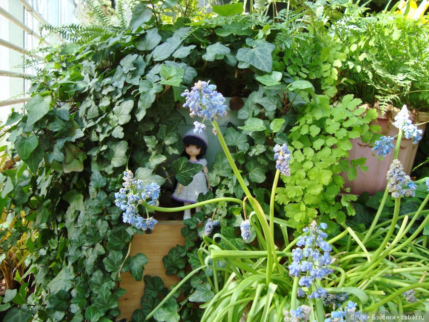 Как мы на выставку цветов ходили (фото 8)