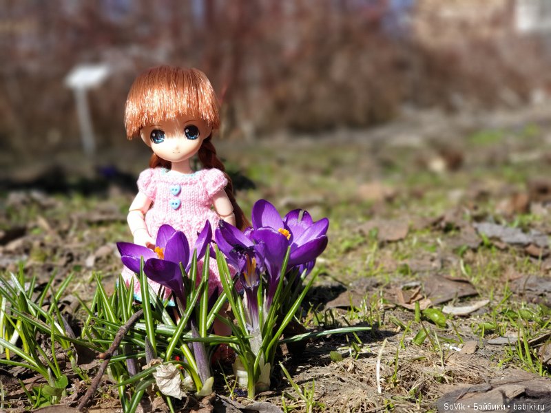 Как мы на выставку цветов ходили (фото 3)