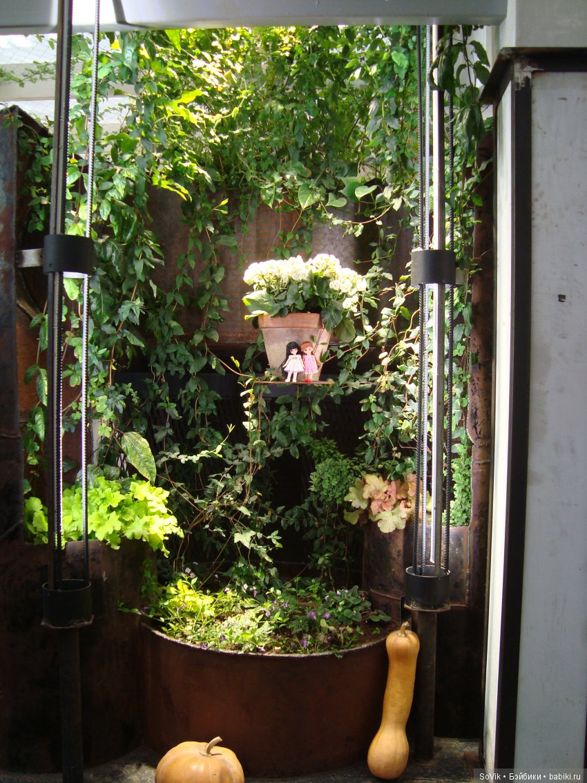 Как мы на выставку цветов ходили