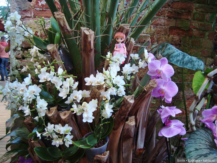 Как мы на выставку цветов ходили