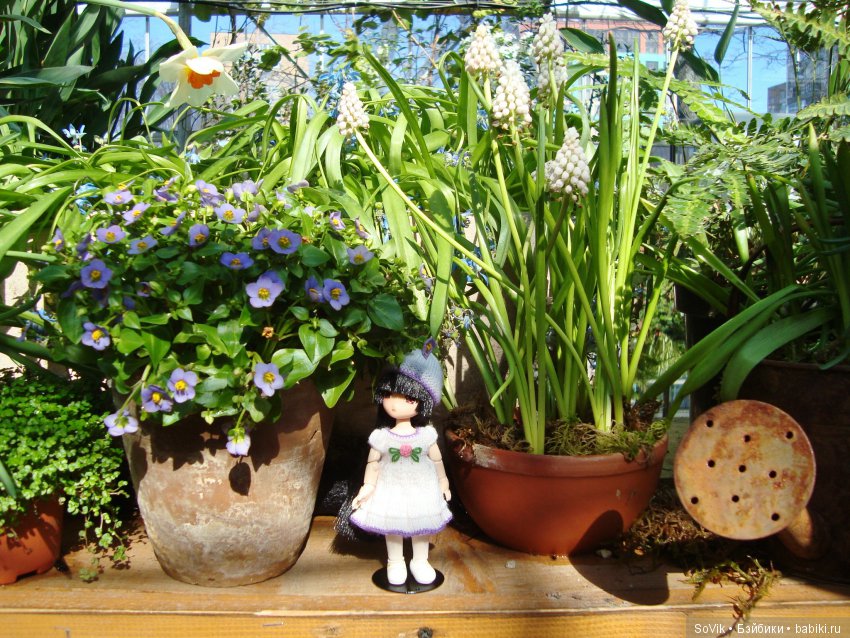 Как мы на выставку цветов ходили (фото 4)