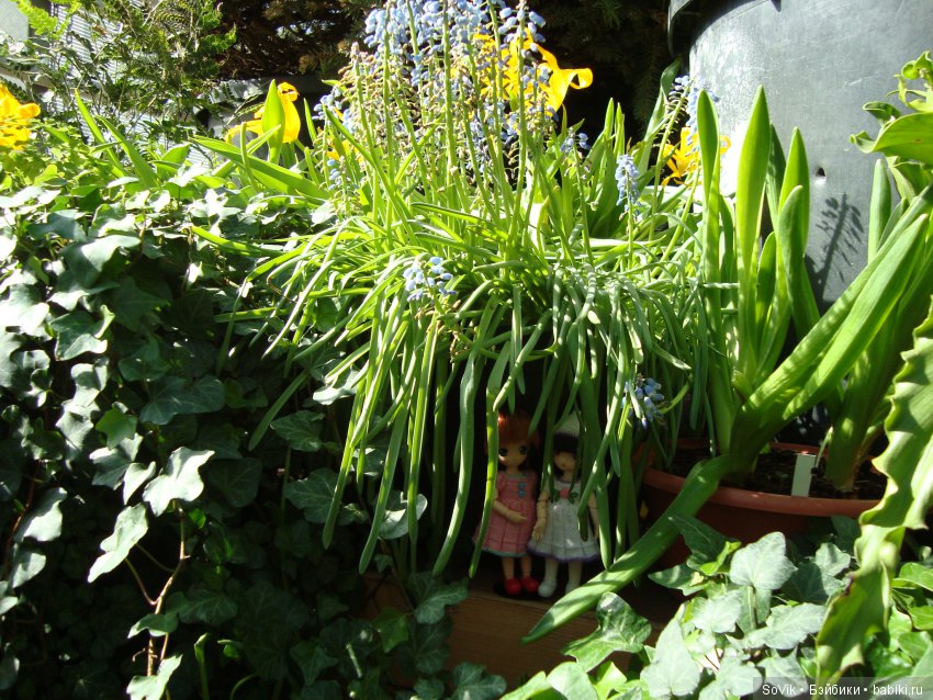 Как мы на выставку цветов ходили (фото 6)