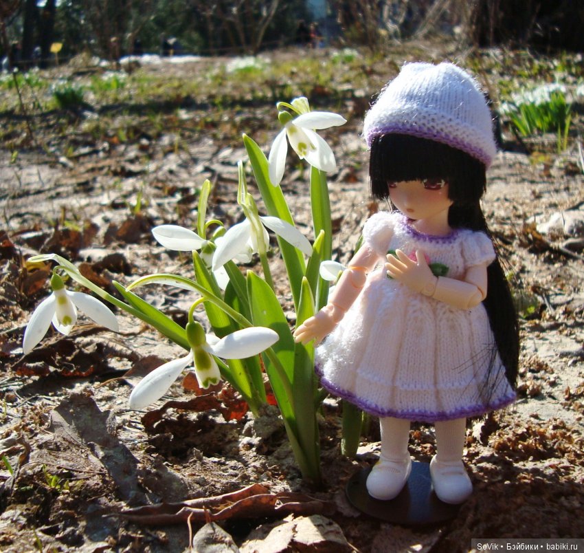 Как мы на выставку цветов ходили (фото 2)