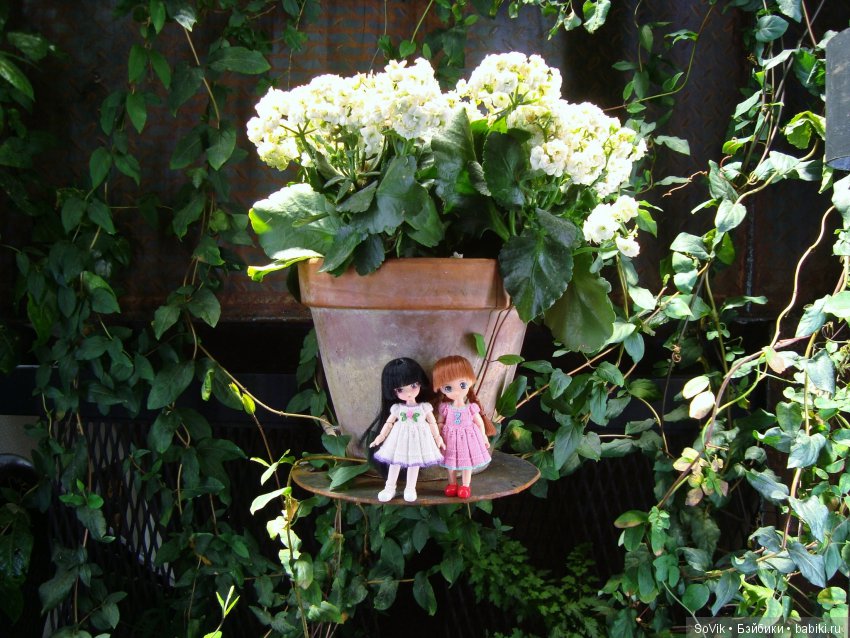 Как мы на выставку цветов ходили