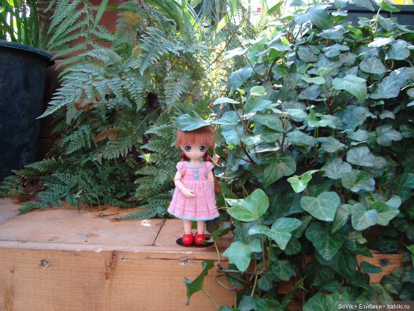 Как мы на выставку цветов ходили (фото 7)