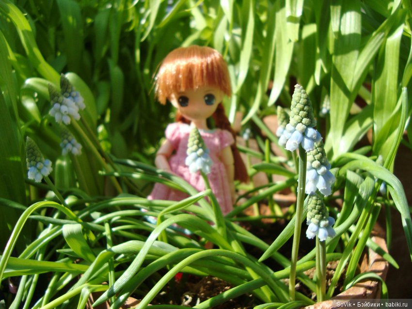 Как мы на выставку цветов ходили