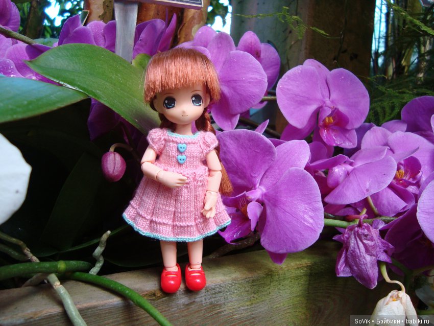 Как мы на выставку цветов ходили