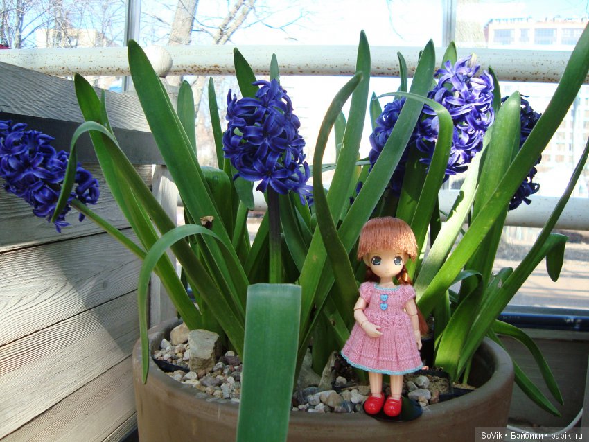 Как мы на выставку цветов ходили (фото 9)