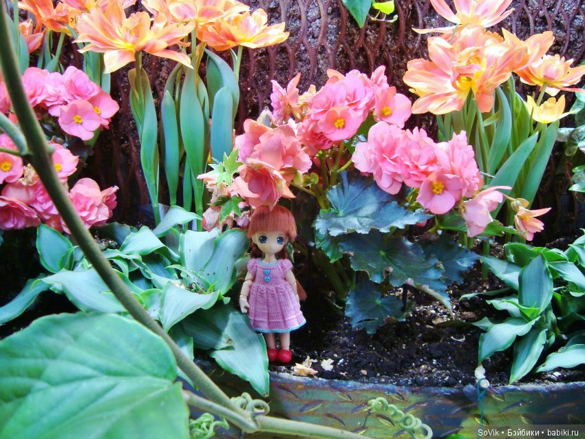 Как мы на выставку цветов ходили