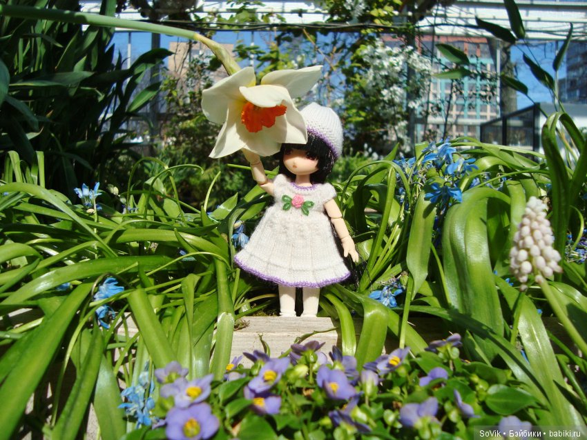 Как мы на выставку цветов ходили (фото 5)