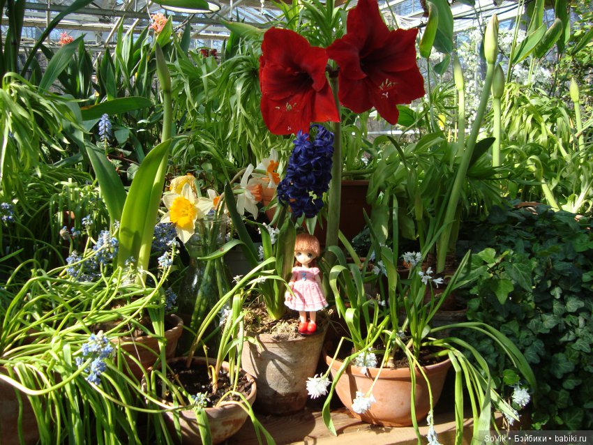 Как мы на выставку цветов ходили