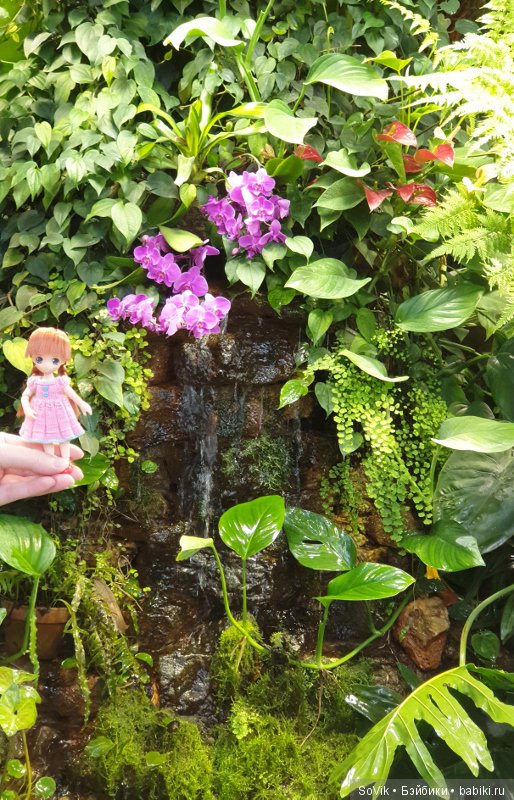 Как мы на выставку цветов ходили