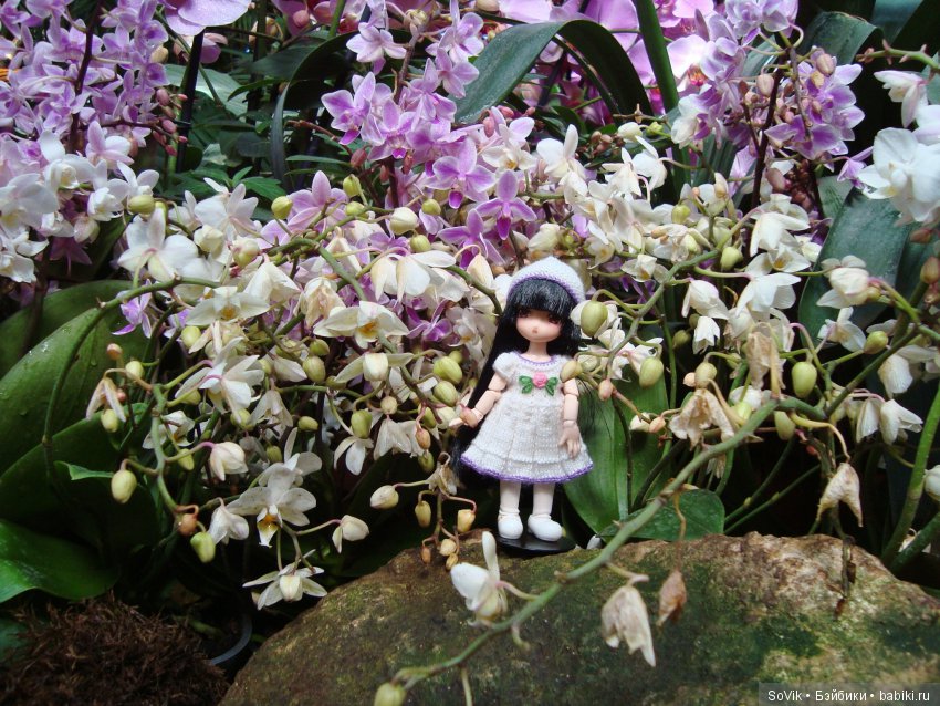 Как мы на выставку цветов ходили