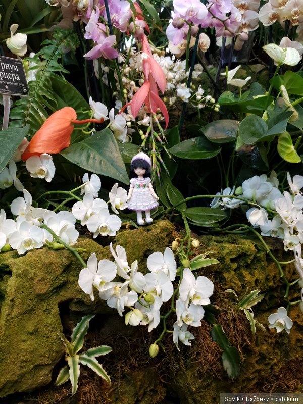 Как мы на выставку цветов ходили