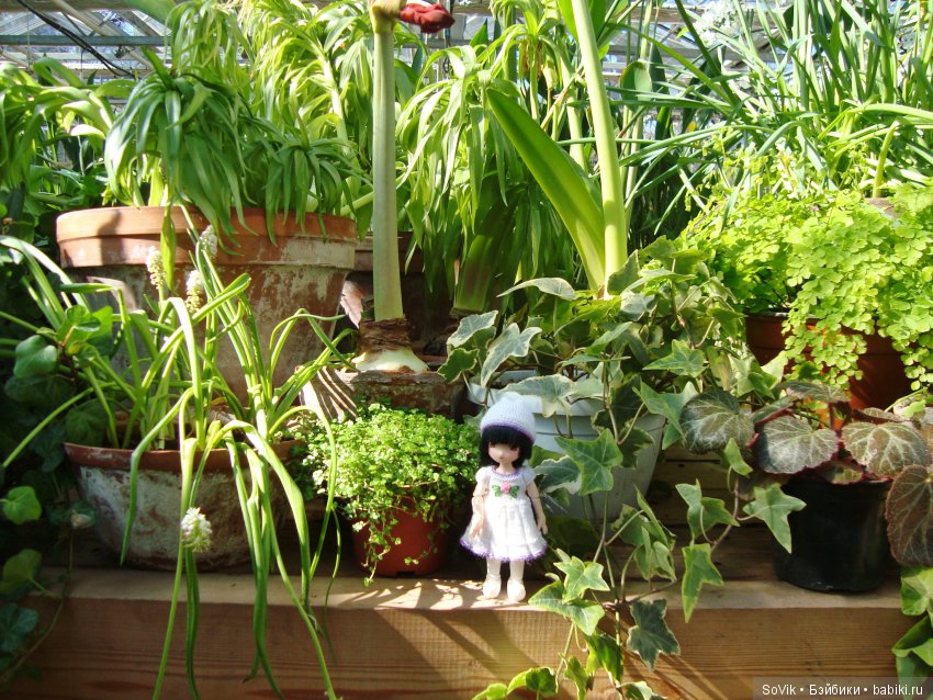 Как мы на выставку цветов ходили (фото 10)