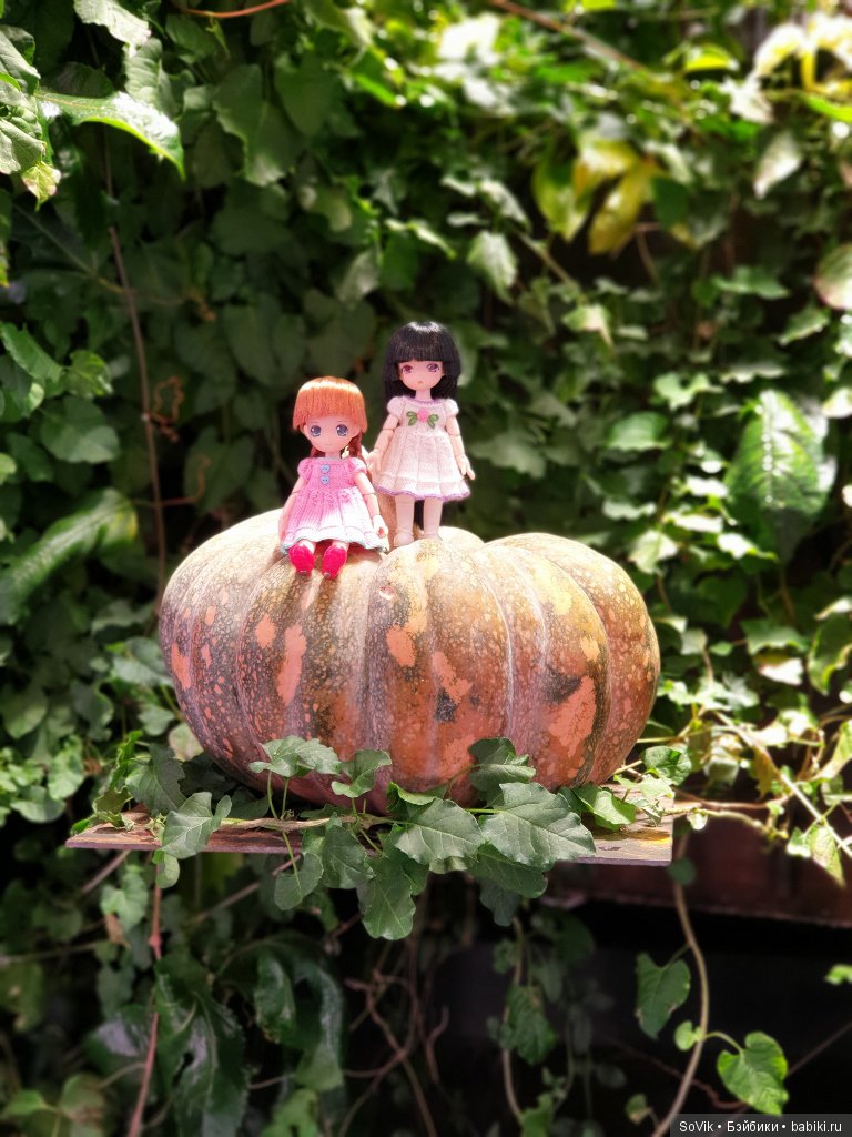 Как мы на выставку цветов ходили