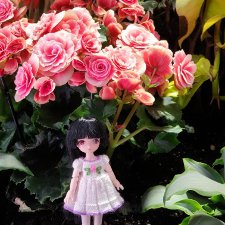 Как мы на выставку цветов ходили