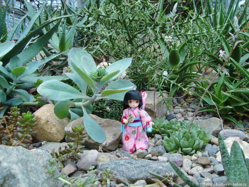 Как мы на выставку цветов ходили. Часть 2