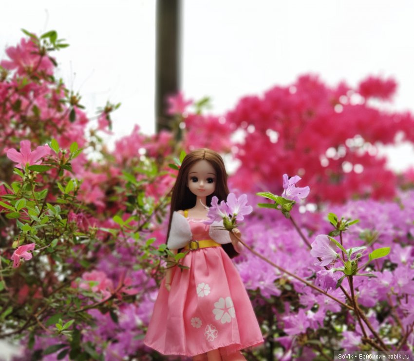 Как мы на выставку цветов ходили. Часть 2 (фото 4)