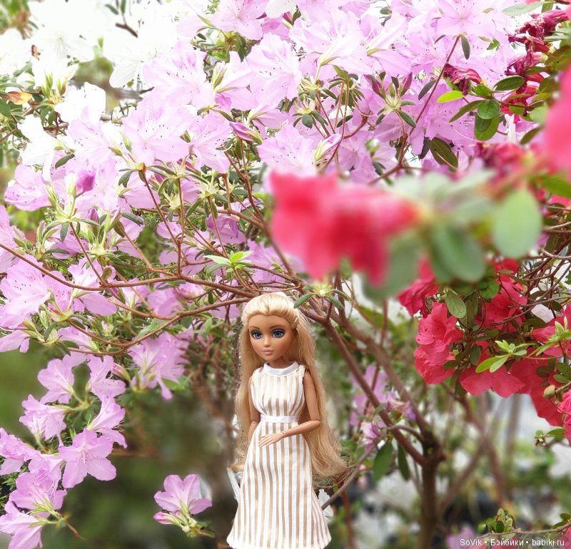 Как мы на выставку цветов ходили. Часть 2