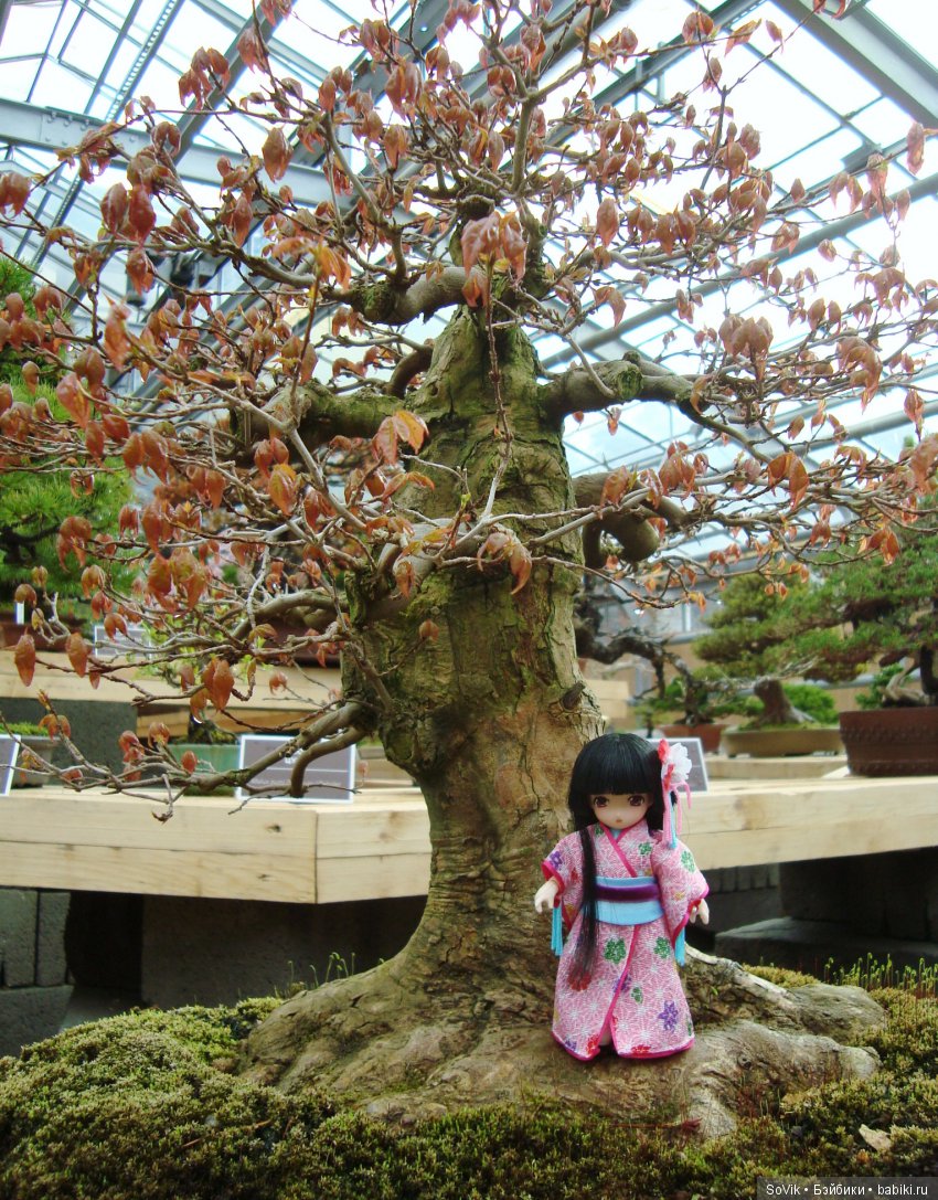 Как мы на выставку цветов ходили. Часть 2