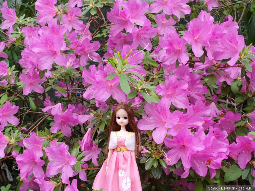 Как мы на выставку цветов ходили. Часть 2 (фото 3)