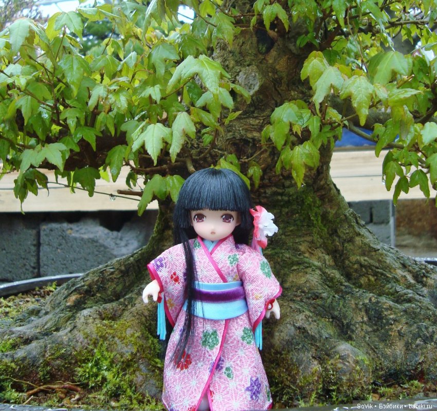 Как мы на выставку цветов ходили. Часть 2