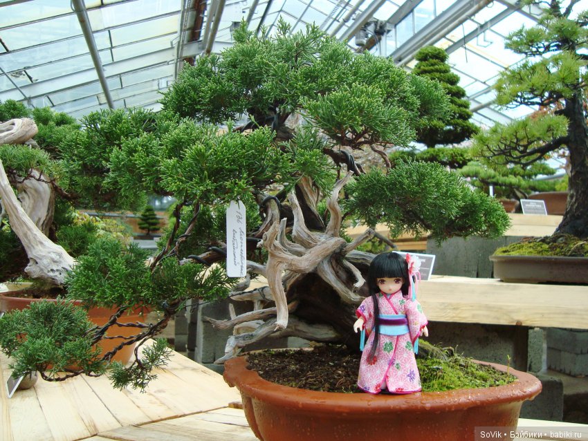 Как мы на выставку цветов ходили. Часть 2