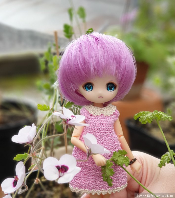 Как мы на выставку цветов ходили. Часть 2 (фото 9)