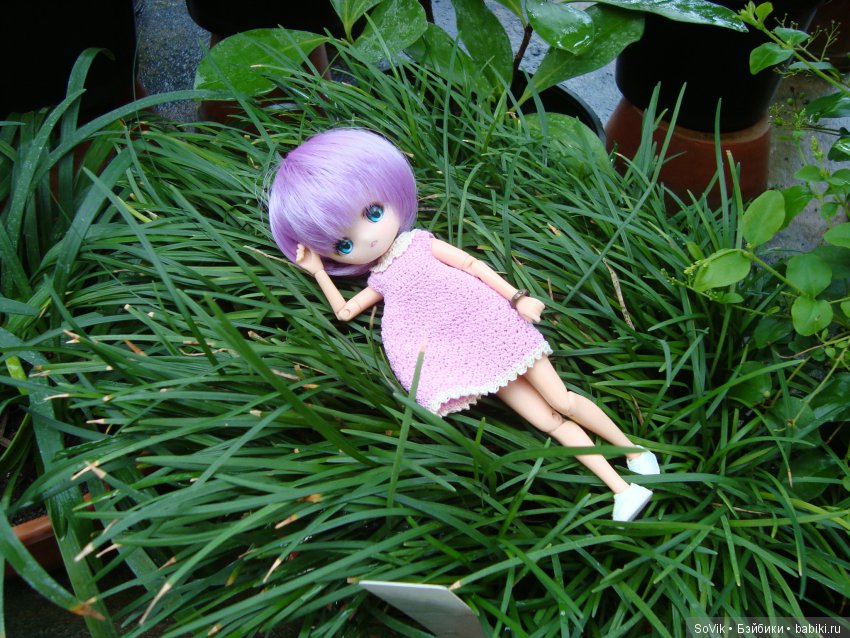 Как мы на выставку цветов ходили. Часть 2