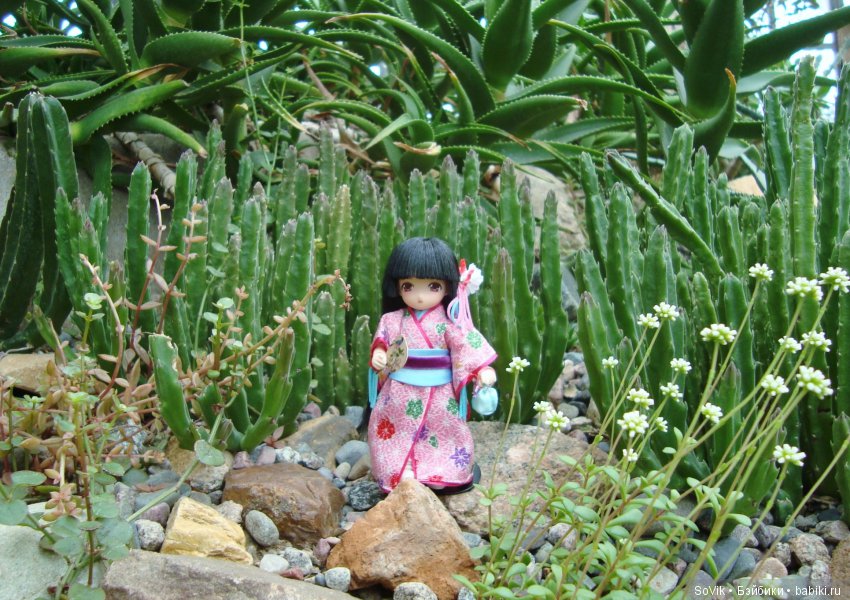 Как мы на выставку цветов ходили. Часть 2