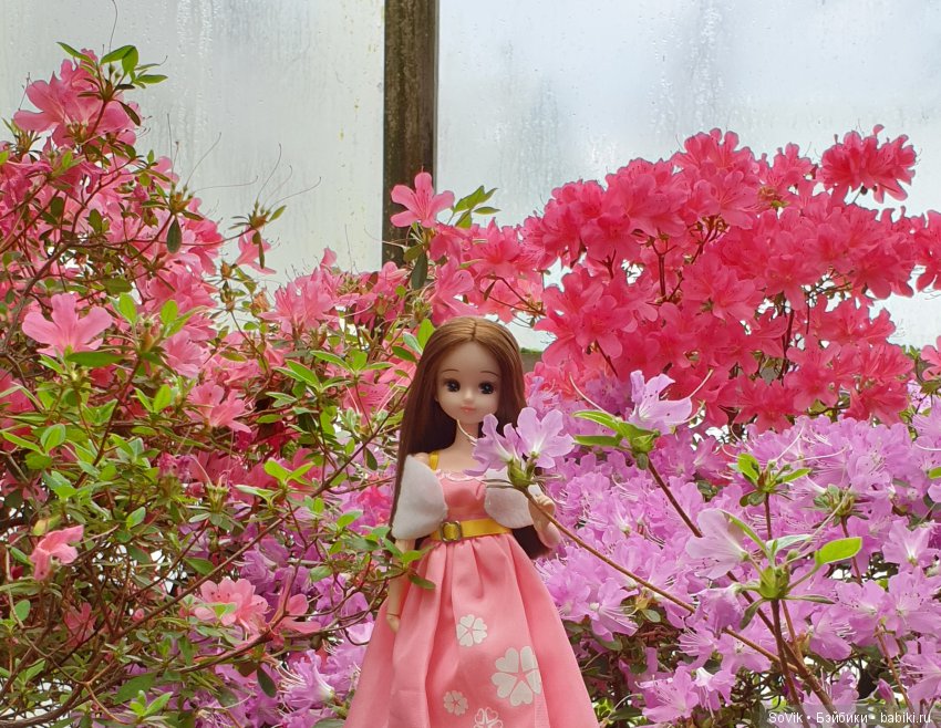 Как мы на выставку цветов ходили. Часть 2 (фото 5)