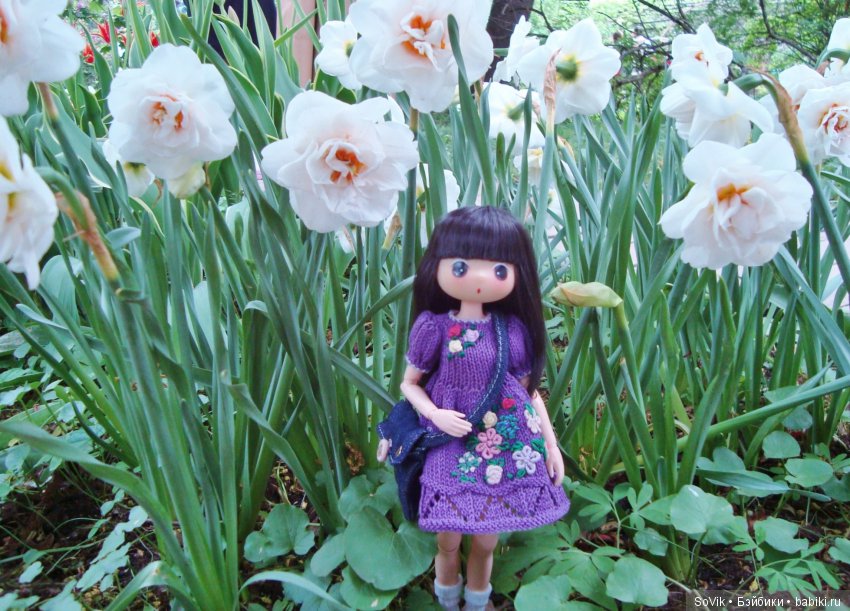 Кто куда, а я опять в Аптекарский огород. Ч.1