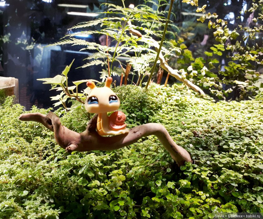 Кто куда, а я опять в Аптекарский огород. Ч.1