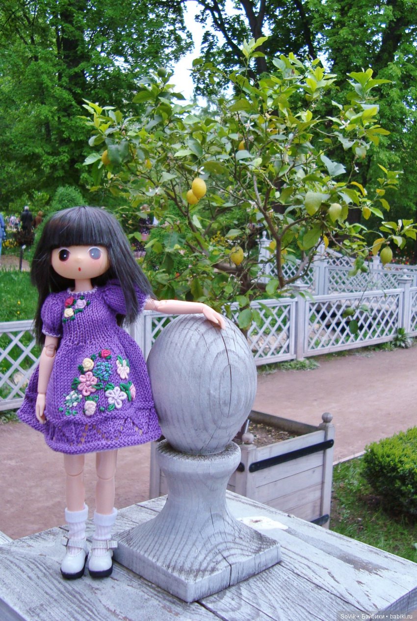 Кто куда, а я опять в Аптекарский огород. Ч.1 (фото 7)