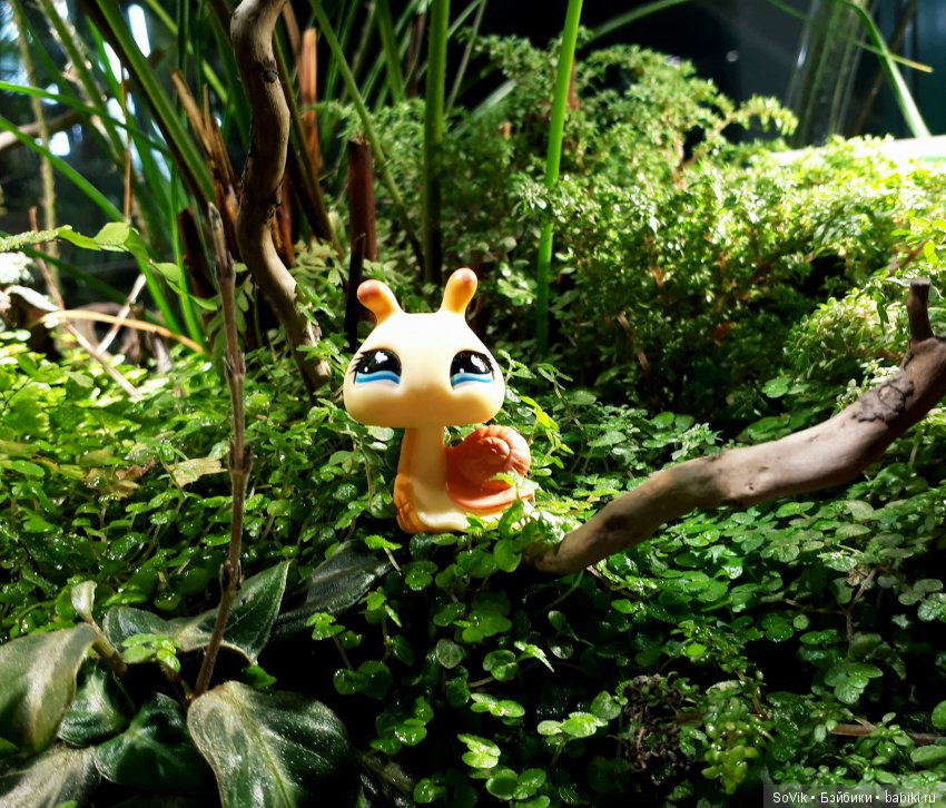 Кто куда, а я опять в Аптекарский огород. Ч.1