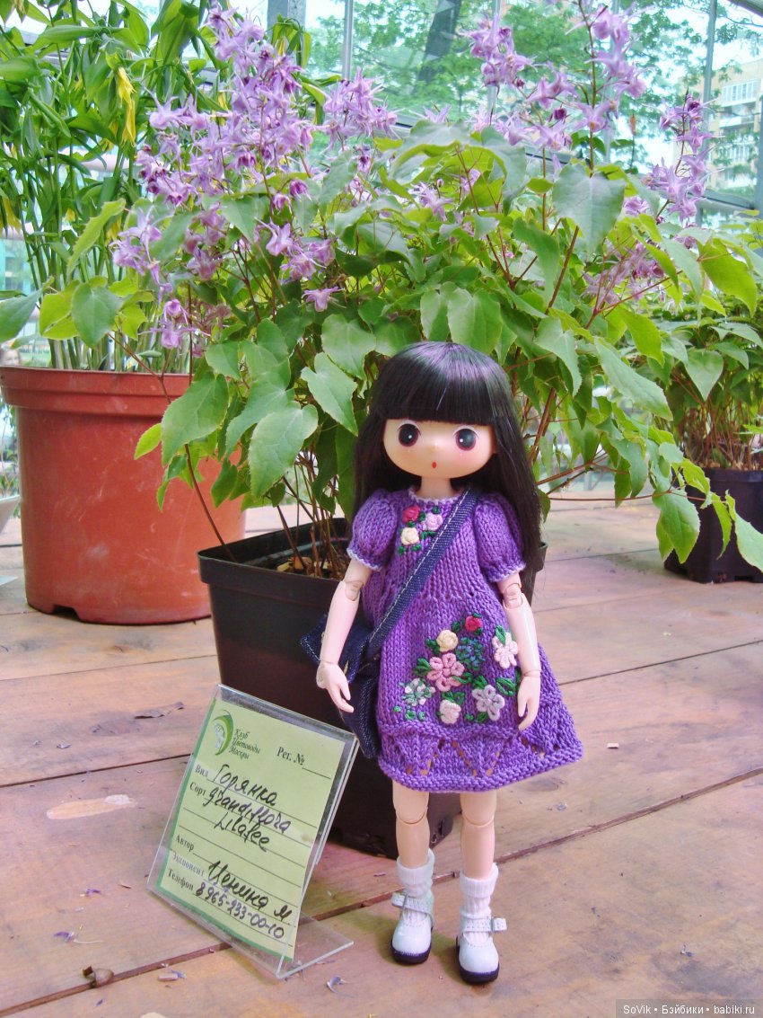 Кто куда, а я опять в Аптекарский огород. Ч.1