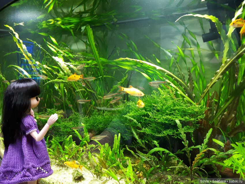 Кто куда, а я опять в Аптекарский огород. Ч.1