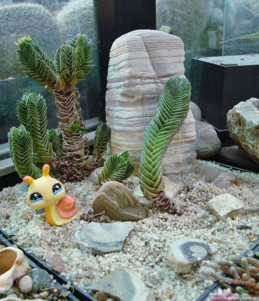 Кто куда, а я опять в Аптекарский огород. Ч.1