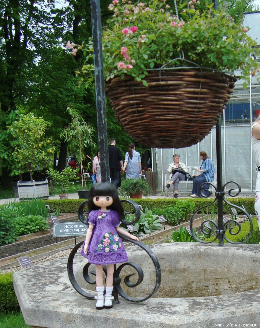 Кто куда, а я опять в Аптекарский огород. Ч.1