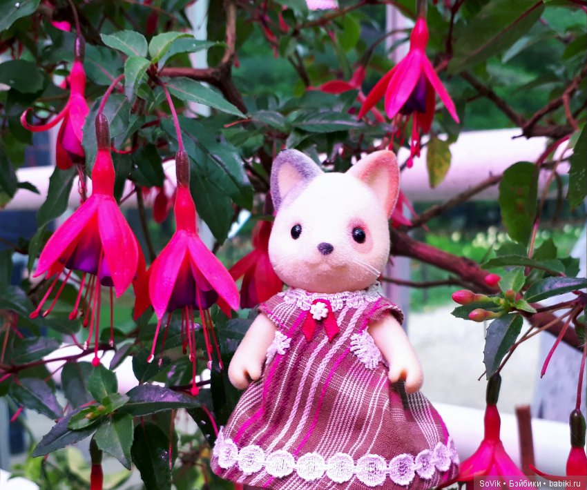 Кто куда, а я опять в Аптекарский огород. Ч.1