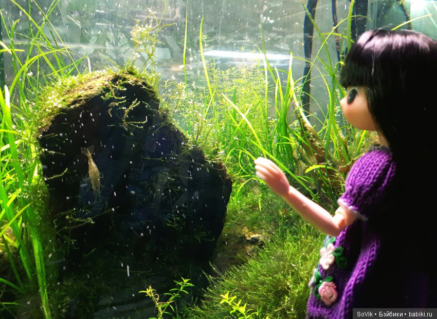 Кто куда, а я опять в Аптекарский огород. Ч.1