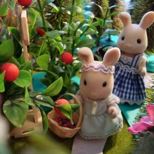 Лесная сказка. Ч.1