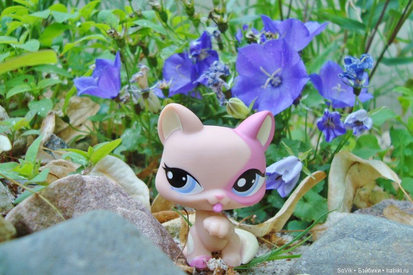 По следам уходящего лета — Болталка и разговоры обо всем: жизнь (фото 3)