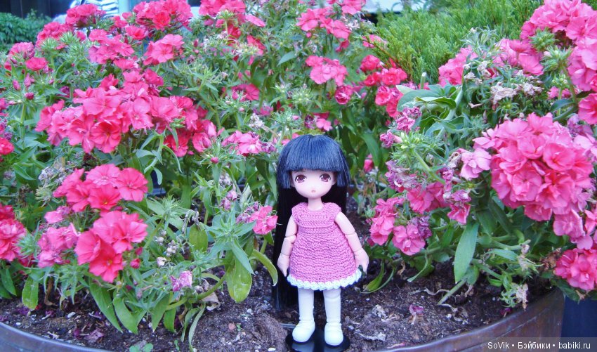 По следам уходящего лета — Болталка и разговоры обо всем: жизнь (фото 4)