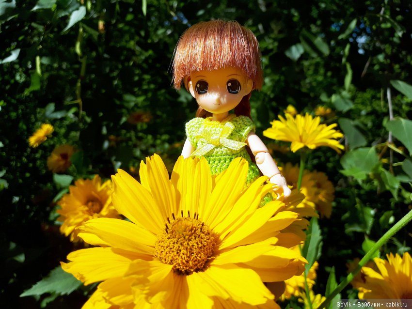 По следам уходящего лета — Болталка и разговоры обо всем: жизнь