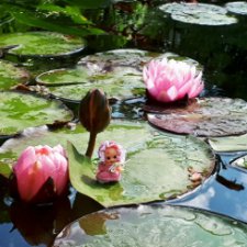 По следам уходящего лета